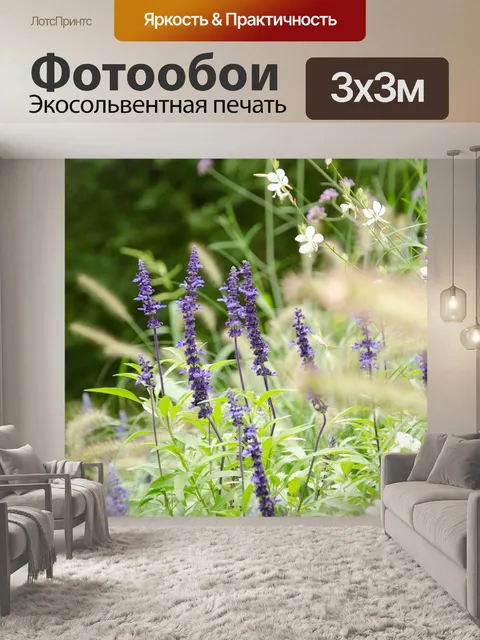 Фотообои Лаванда