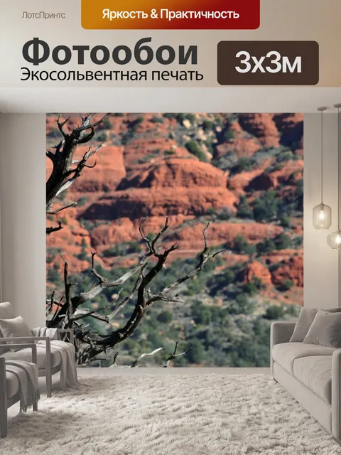 Фотообои Голые ветви и красные горы