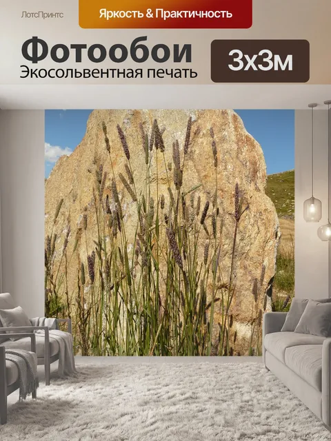 Фотообои Камень