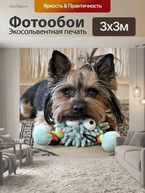 Фотообои Йорки