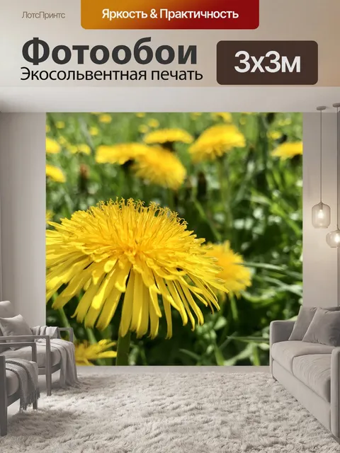 Фотообои Одуванчик