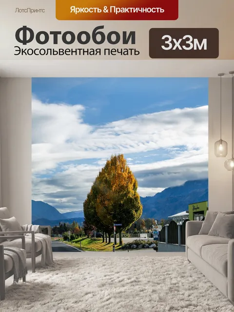 Фотообои Дорога