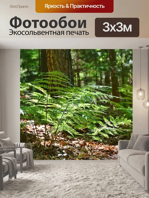 Фотообои Папоротники