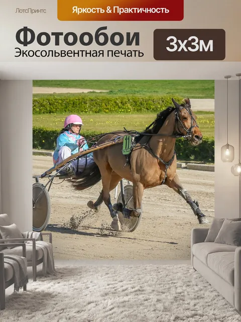 Фотообои Лошади