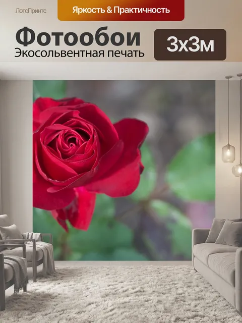 Фотообои Роза
