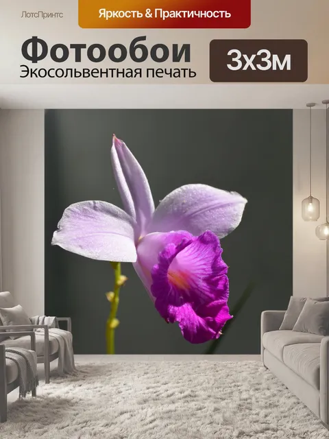 Фотообои Цветок