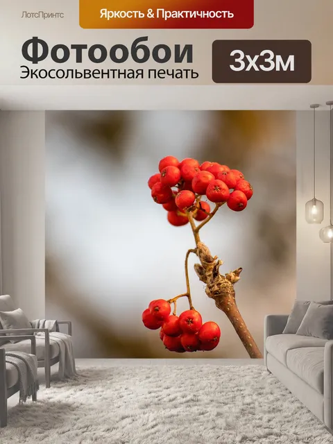 Фотообои Фрукты