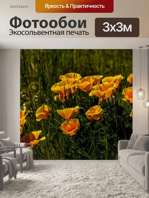 Фотообои Поле золотых маков