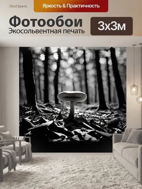Фотообои минималистическое черно-белое изображение гриба в центре