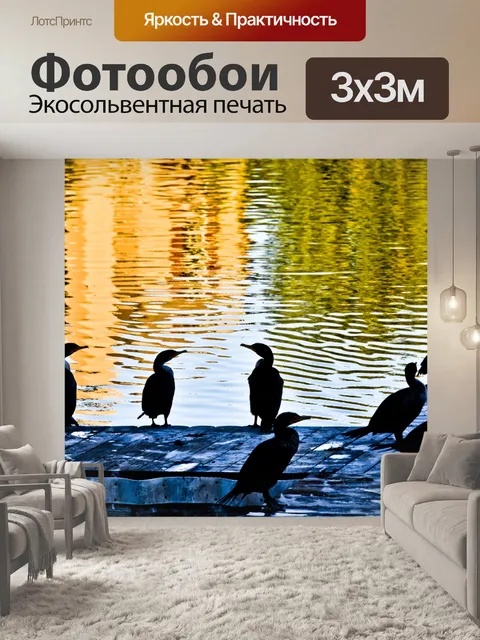 Фотообои Бакланы на пирсе