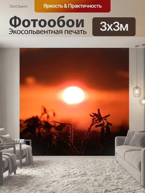 Фотообои Закат