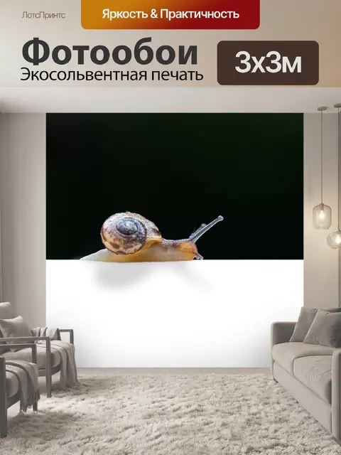 Фотообои Улитка