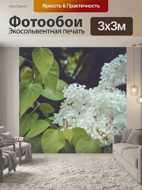 Фотообои Цветы