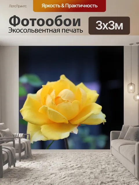 Фотообои Природа