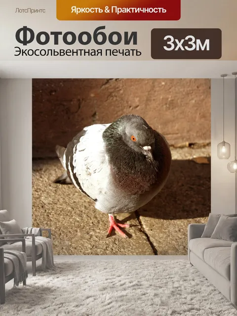 Фотообои Птица
