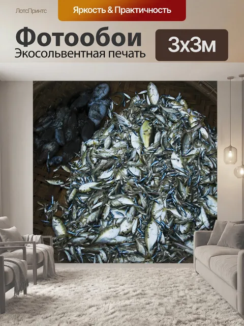 Фотообои Рыба