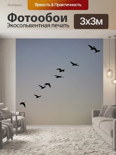 Фотообои Гуси