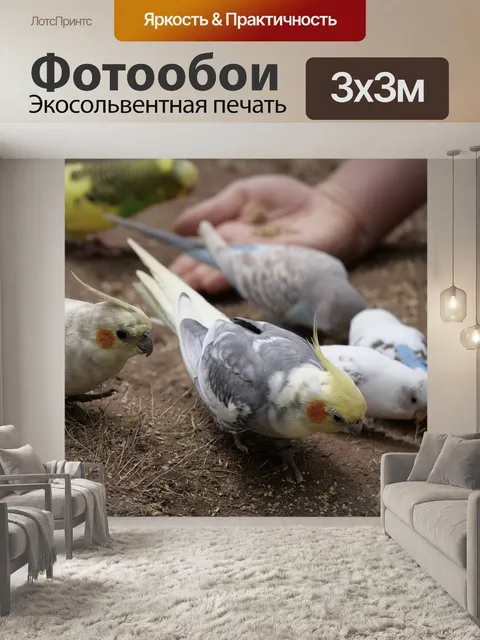 Фотообои Nympfen попугайчик