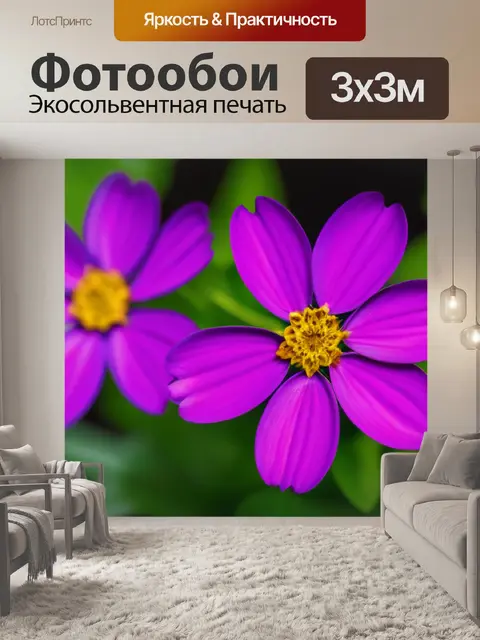 Фотообои цветы в искусстве здоровья