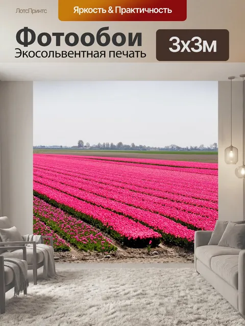 Фотообои Луковицы