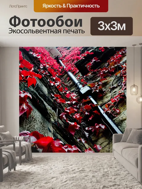Фотообои Осенью Плющ на стене