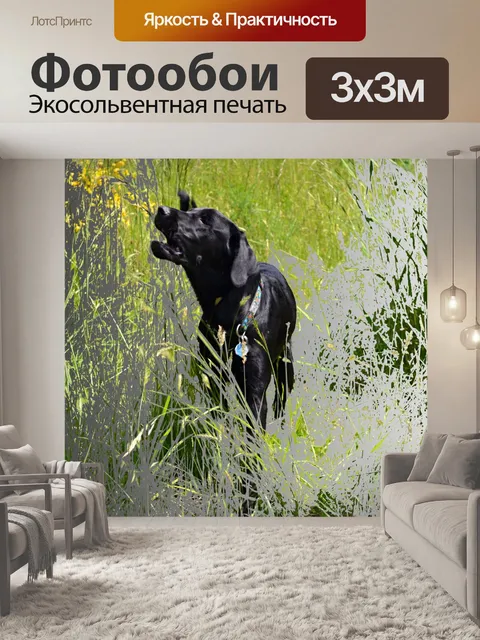 Фотообои Лай в травяной травы