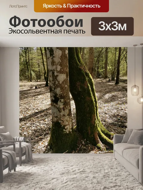 Фотообои Пепел