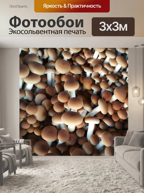 Фотообои Гриб