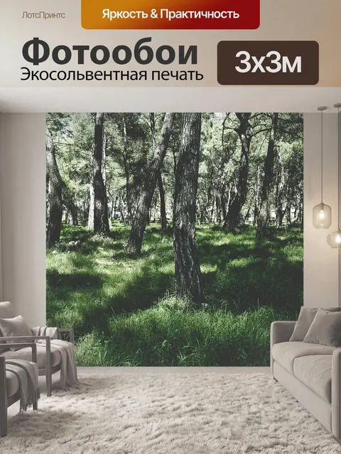 Фотообои Лес
