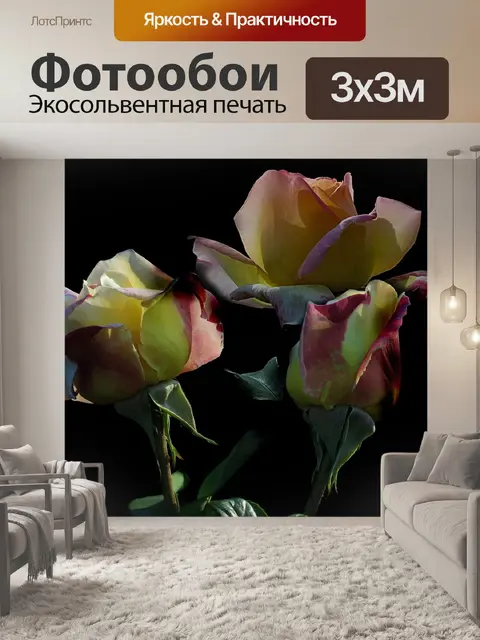 Фотообои Розы