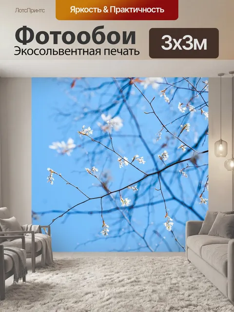 Фотообои Белый