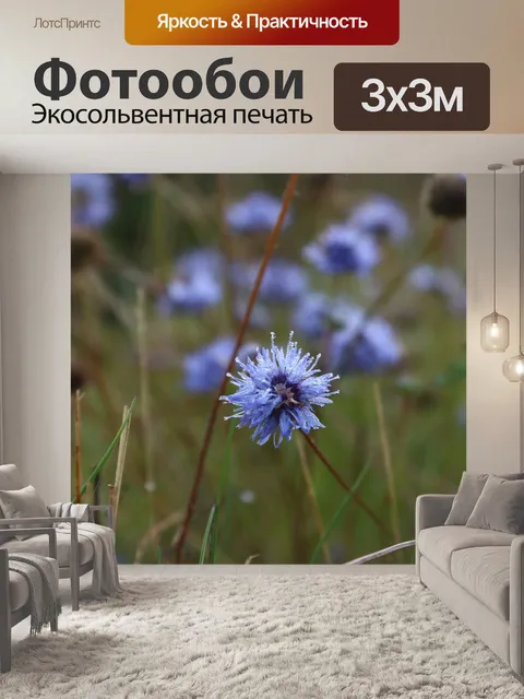 Фотообои Цветок