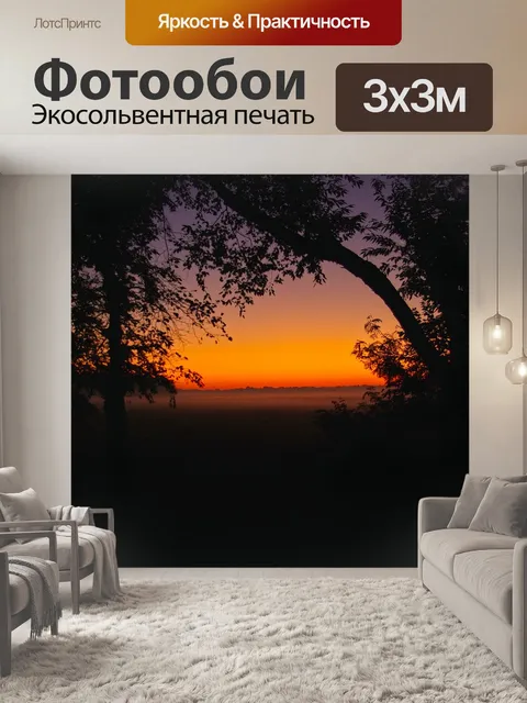 Фотообои Землю туман иллинойс рассвет