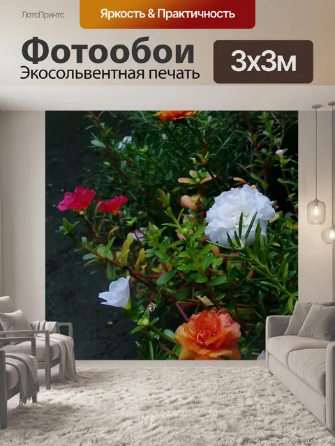 Фотообои Цветок