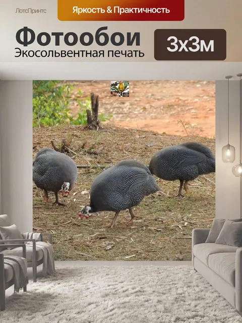 Фотообои Животные