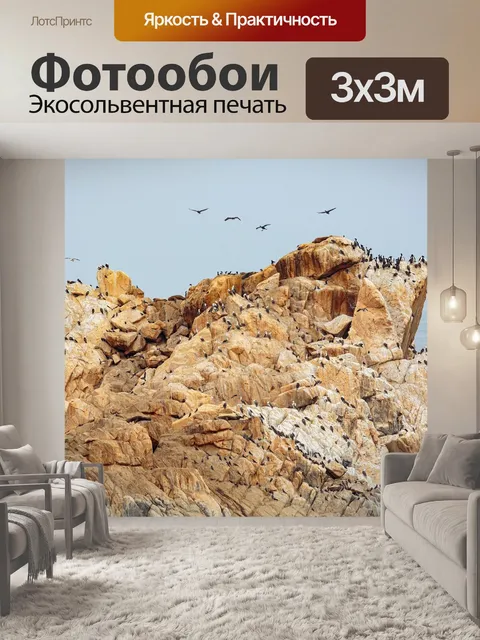 Фотообои Птицы