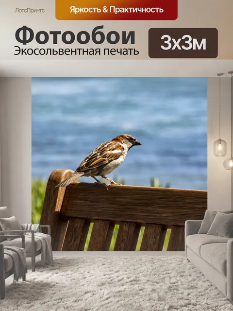 Фотообои Воробей