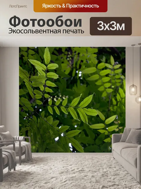 Фотообои Листья