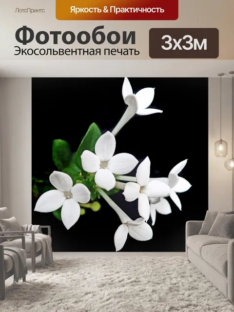 Фотообои Цветы