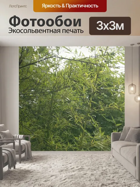 Фотообои Бамбук и растительность