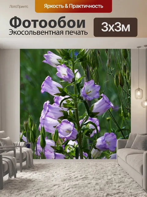 Фотообои Пейзаж