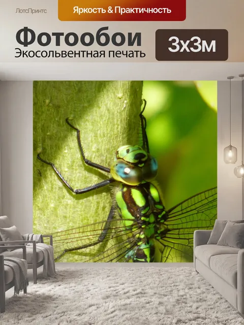 Фотообои Стрекоза на ветке