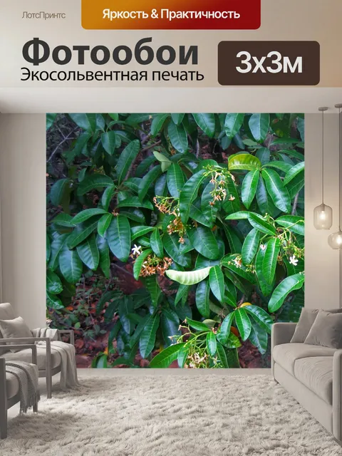 Фотообои низко висящие ветки с цветами
