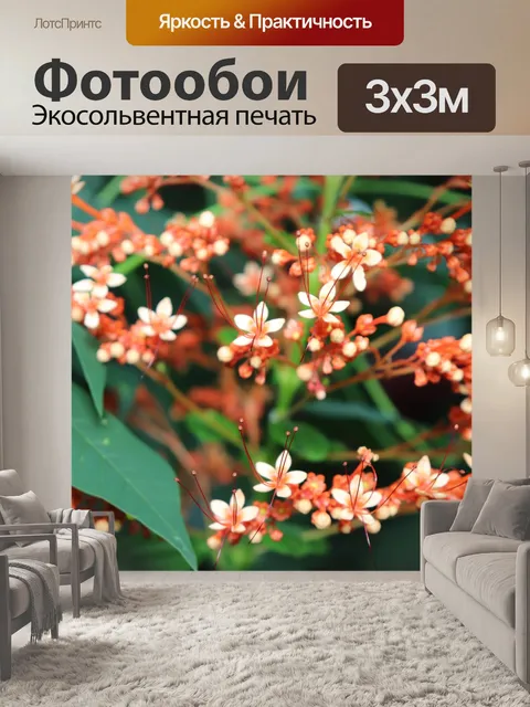 Фотообои Цветы