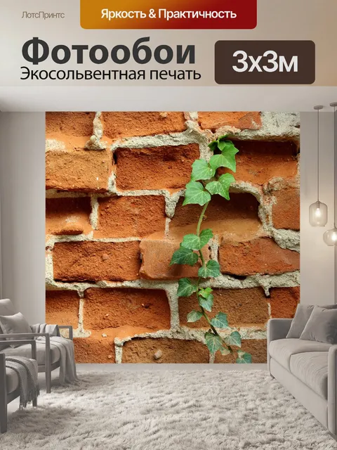 Фотообои Стена