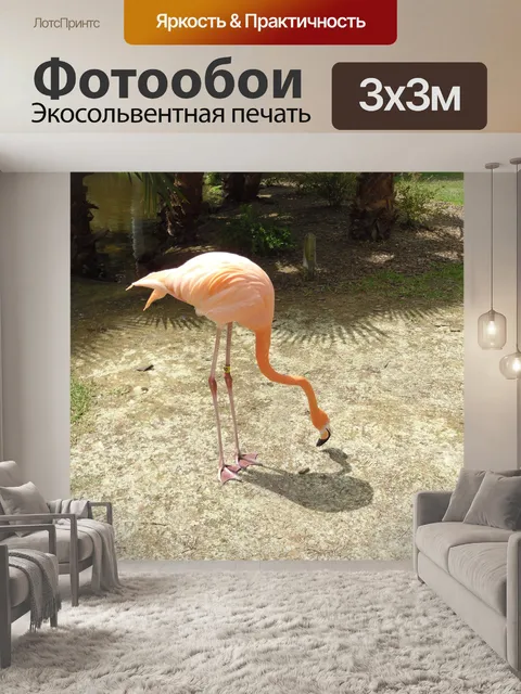 Фотообои Фламинго