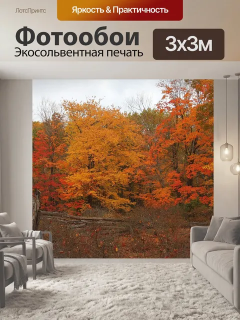 Фотообои Леса