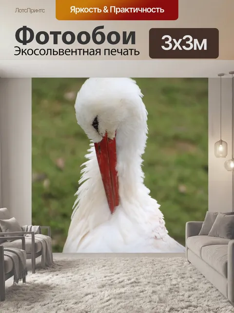 Фотообои Аист