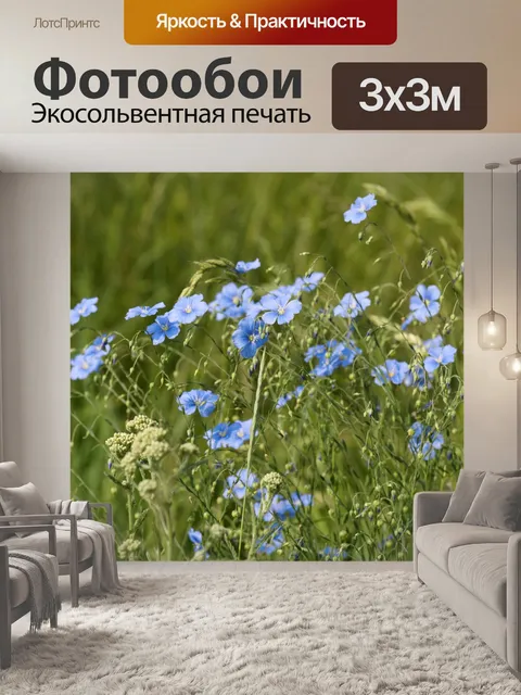 Фотообои Луговой журавль, клюв полевой