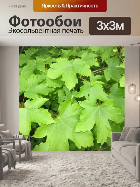 Фотообои Кленовые листья